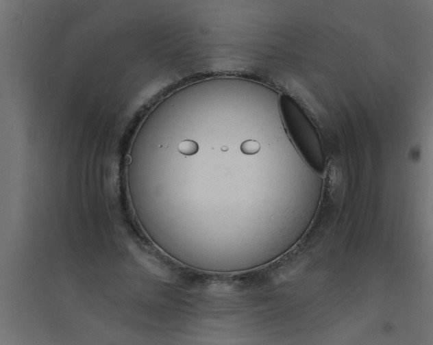 X0000094320684200711241807