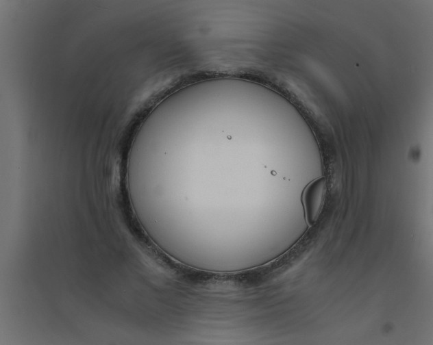 X0000094320685200711241807