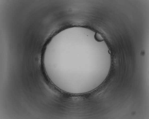 X0000094320686200711241807