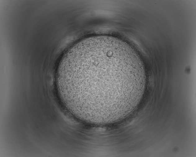 X0000094320687200711241807