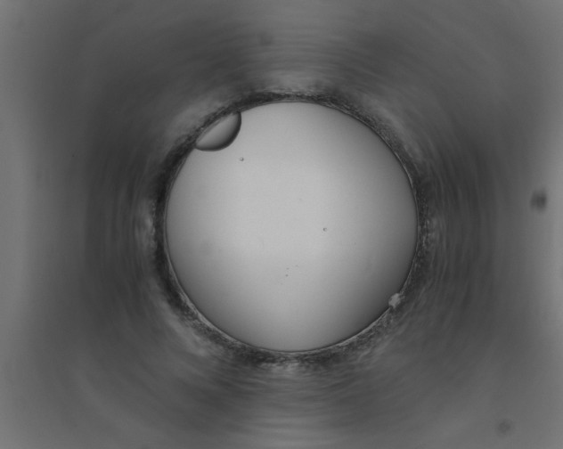 X0000094320688200711241807
