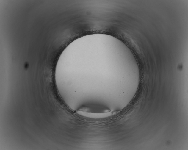 X0000094320689200711241807