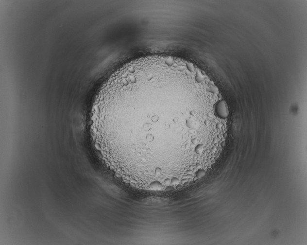 X0000094320691200711241807