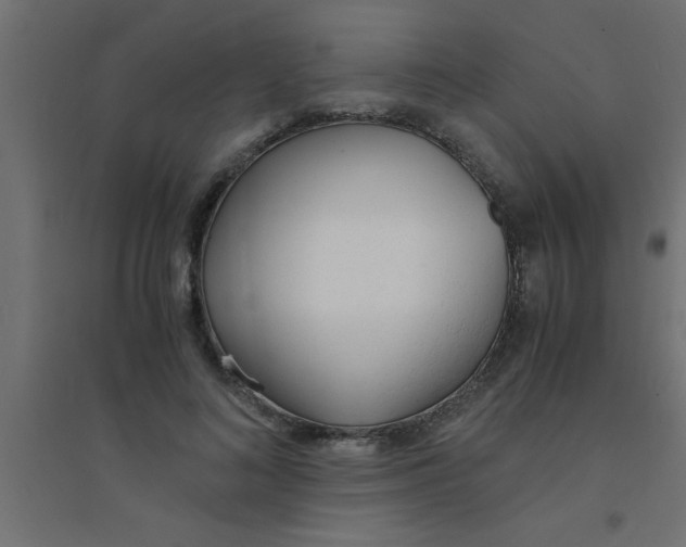 X0000094320692200711241807