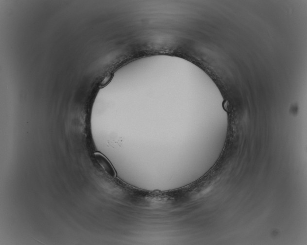 X0000094320693200711241807