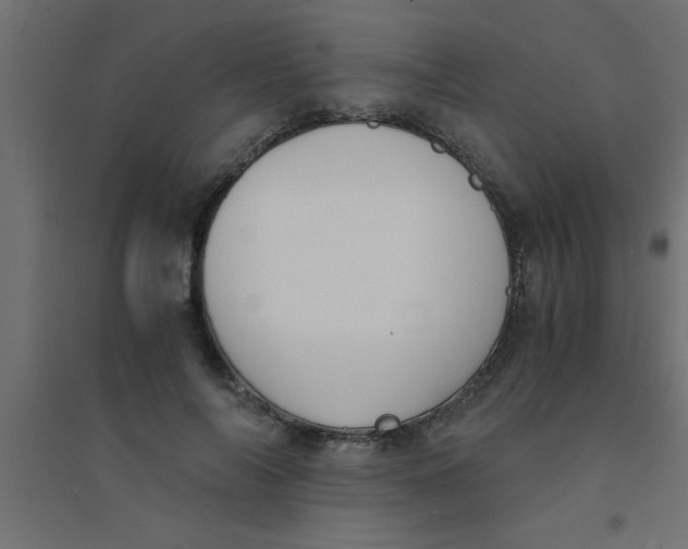 X0000094320694200711241807