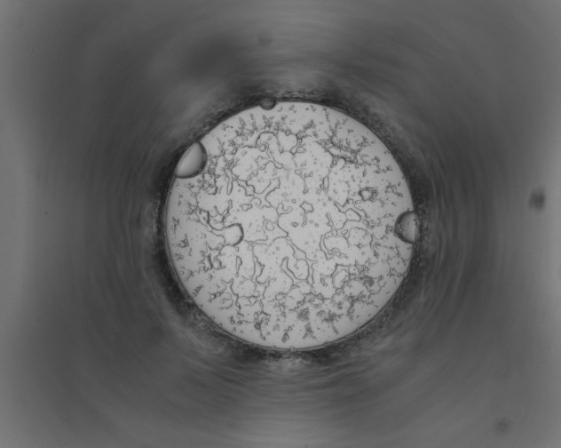 X0000094320695200711241807