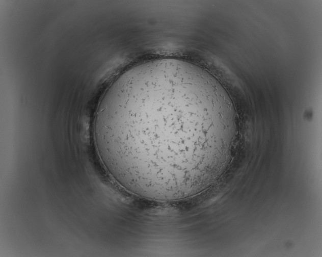X0000094320696200711241807