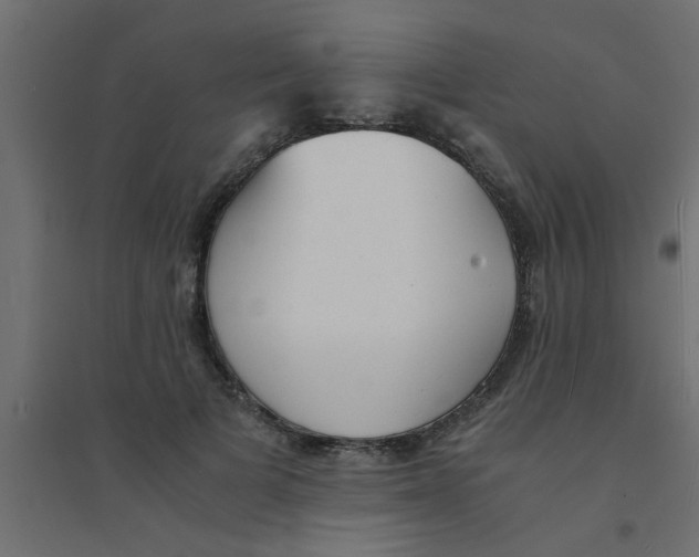 X0000094320697200711241807
