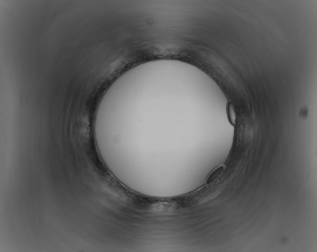 X0000094320700200711241807