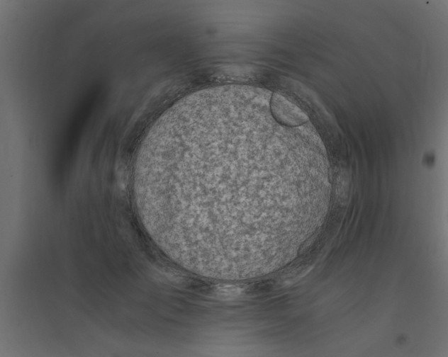 X0000094320701200711241807