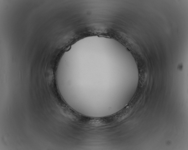 X0000094320704200711241807