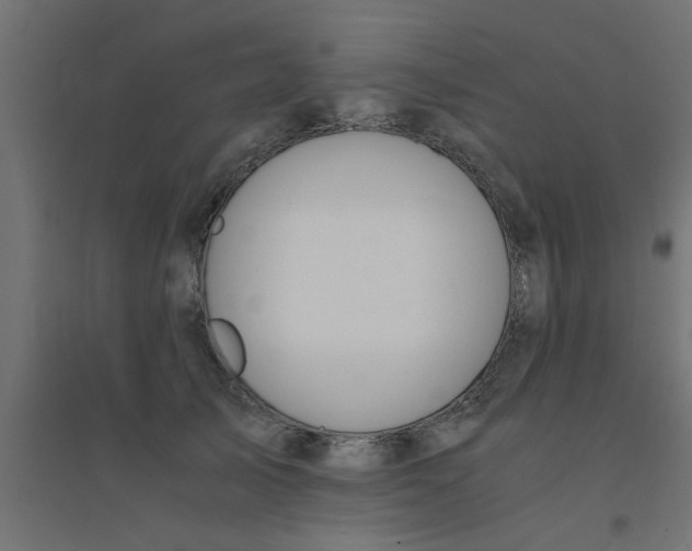 X0000094320705200711241807