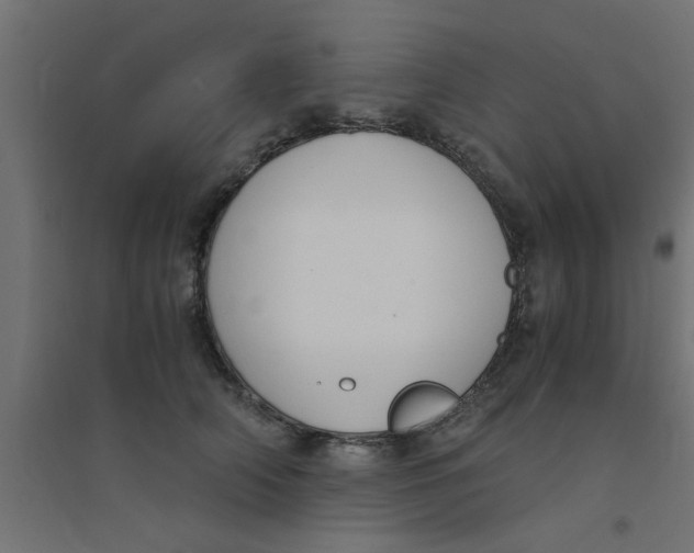 X0000094320706200711241807