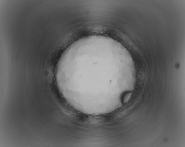 X0000094320707200711241807