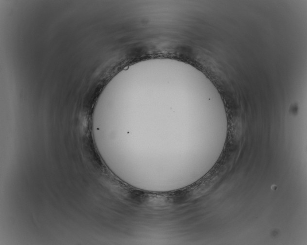 X0000094320709200711241807