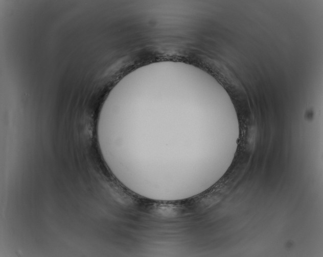 X0000094320710200711241807