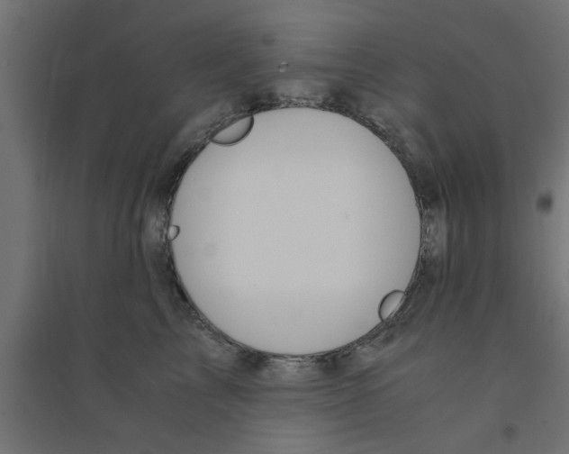 X0000094320713200711241807