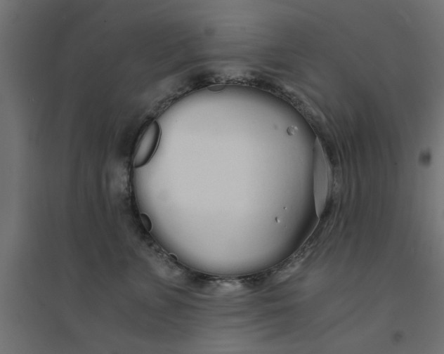 X0000094320715200711241807