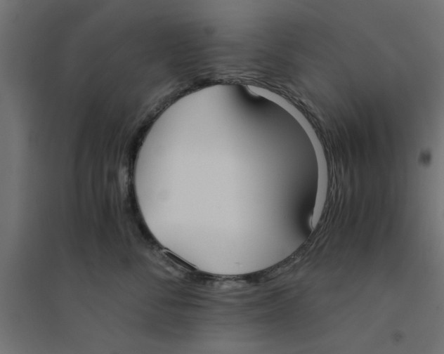 X0000094320716200711241807