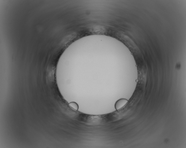 X0000094320717200711241807