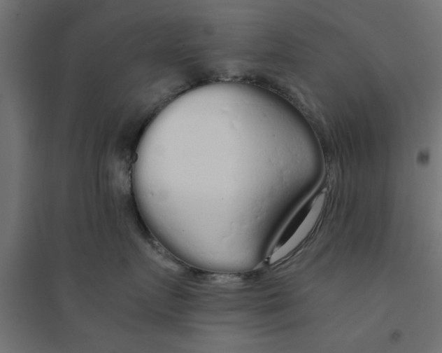 X0000094320719200711241807