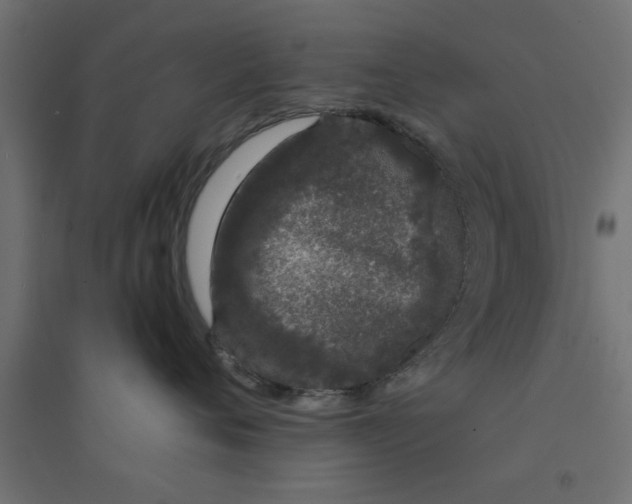 X0000094320720200711241807