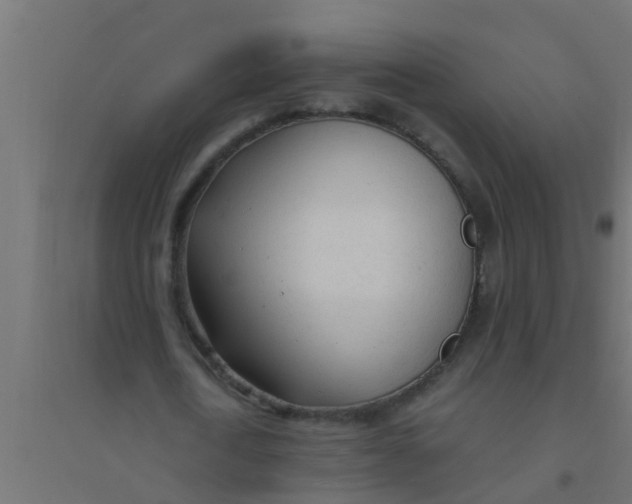 X0000094320722200711241806