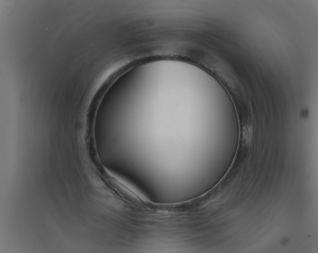 X0000094320724200711241806