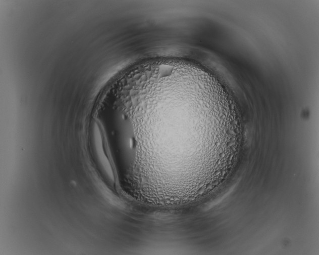 X0000094320725200711241806
