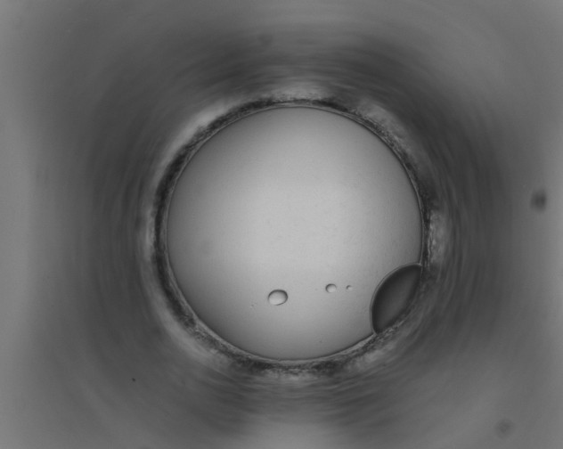 X0000094320726200711241806