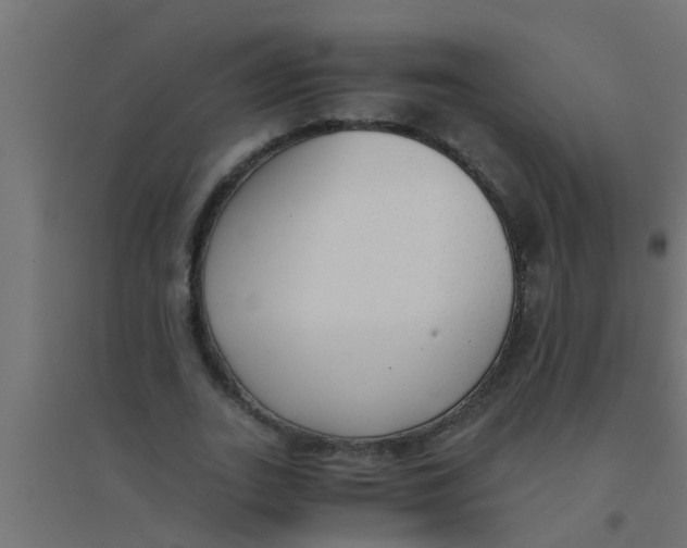 X0000094320727200711241806