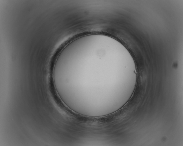 X0000094320728200711241806