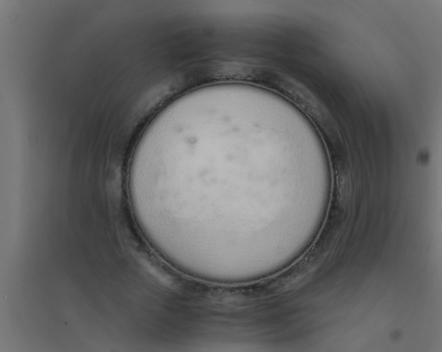 X0000094320729200711241806