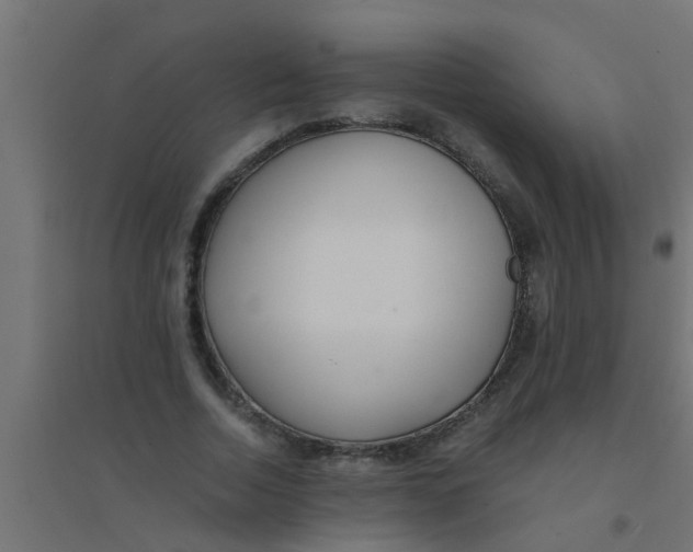 X0000094320730200711241806