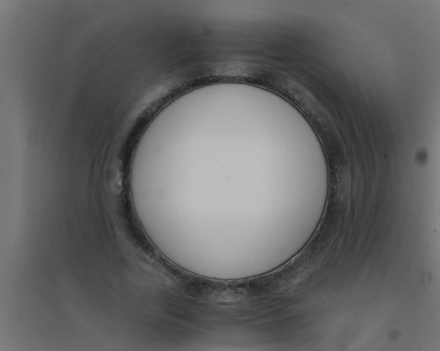 X0000094320731200711241806