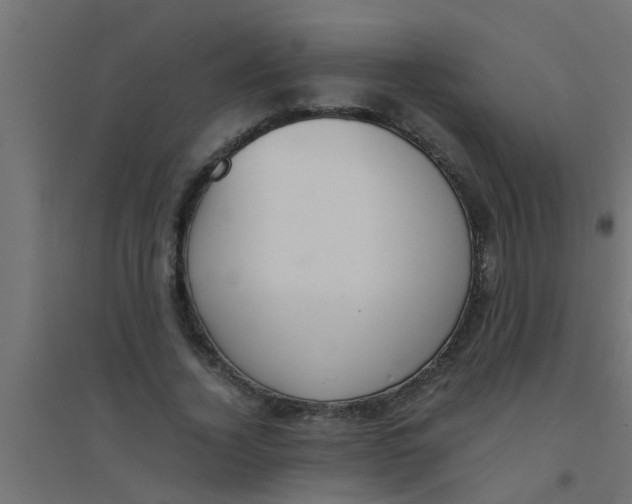 X0000094320732200711241806
