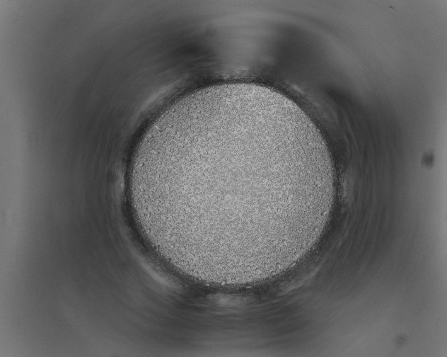 X0000094320733200711241806
