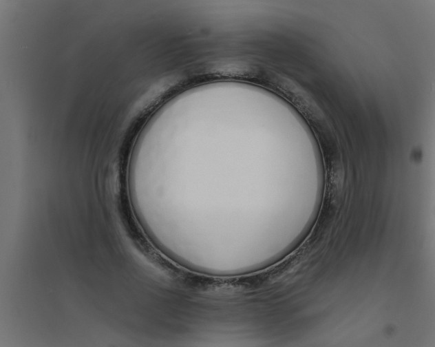 X0000094320734200711241806