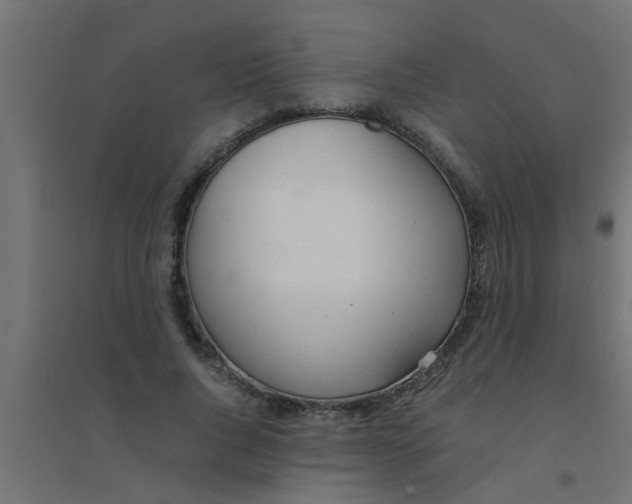 X0000094320736200711241806