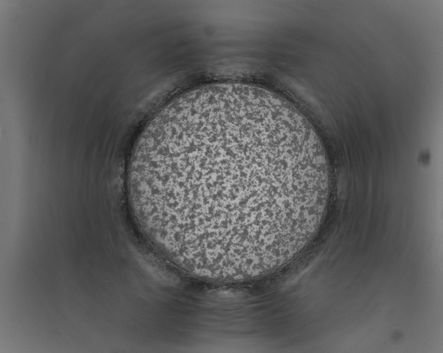 X0000094320737200711241806