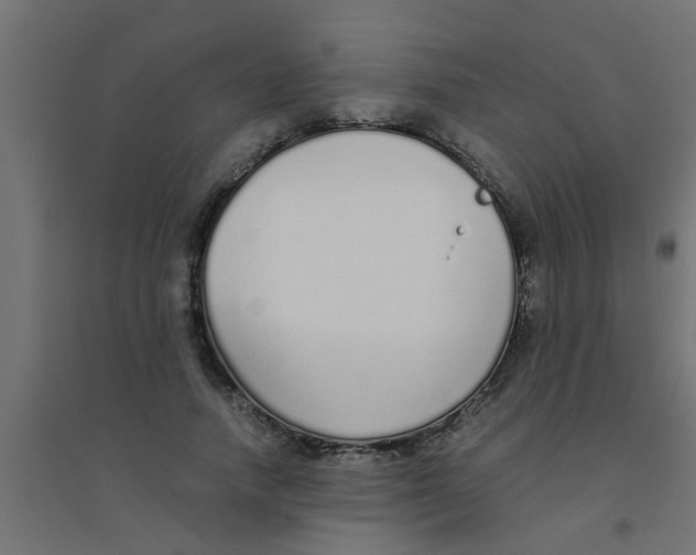 X0000094320738200711241806