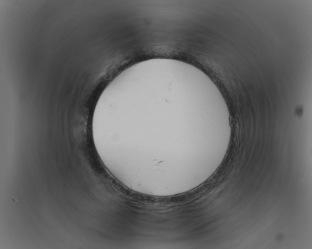X0000094320739200711241806