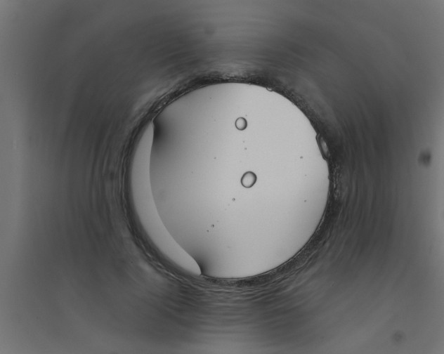 X0000094320740200711241806