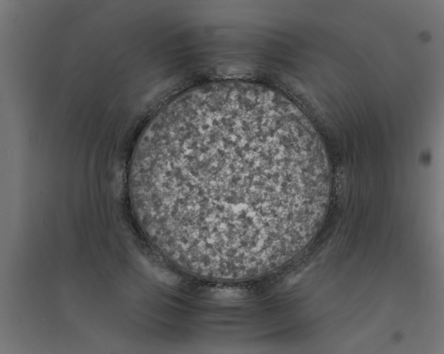 X0000094320741200711241806