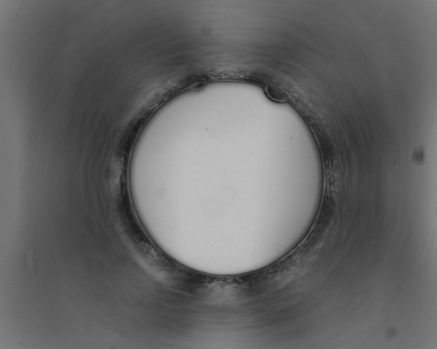 X0000094320742200711241807