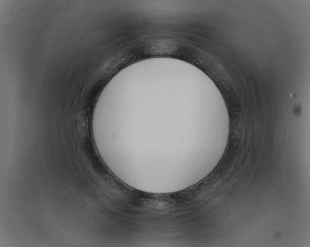 X0000094320743200711241807
