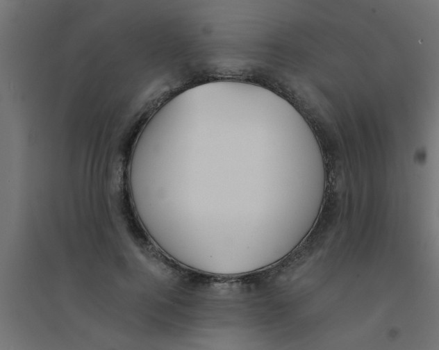 X0000094320744200711241807