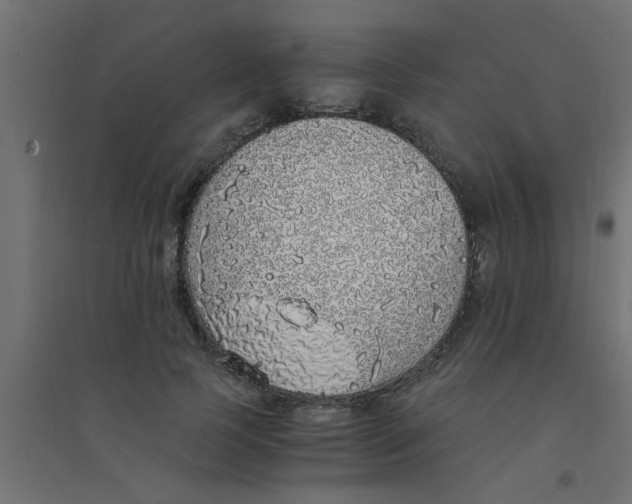 X0000094320745200711241807