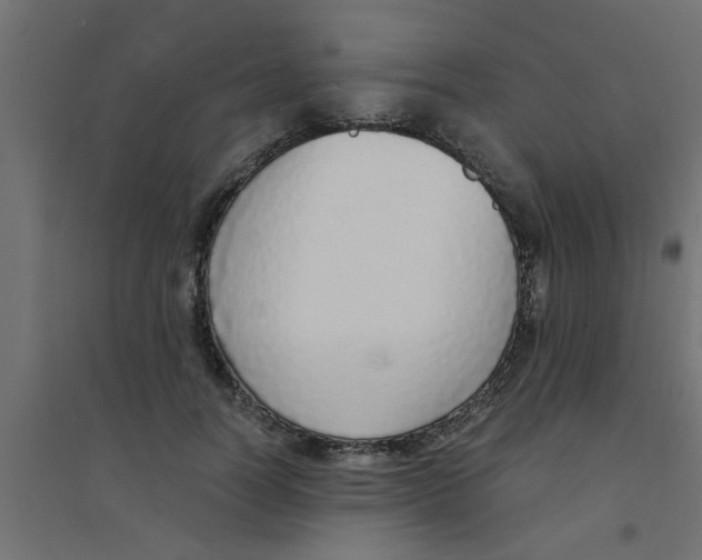 X0000094320746200711241807